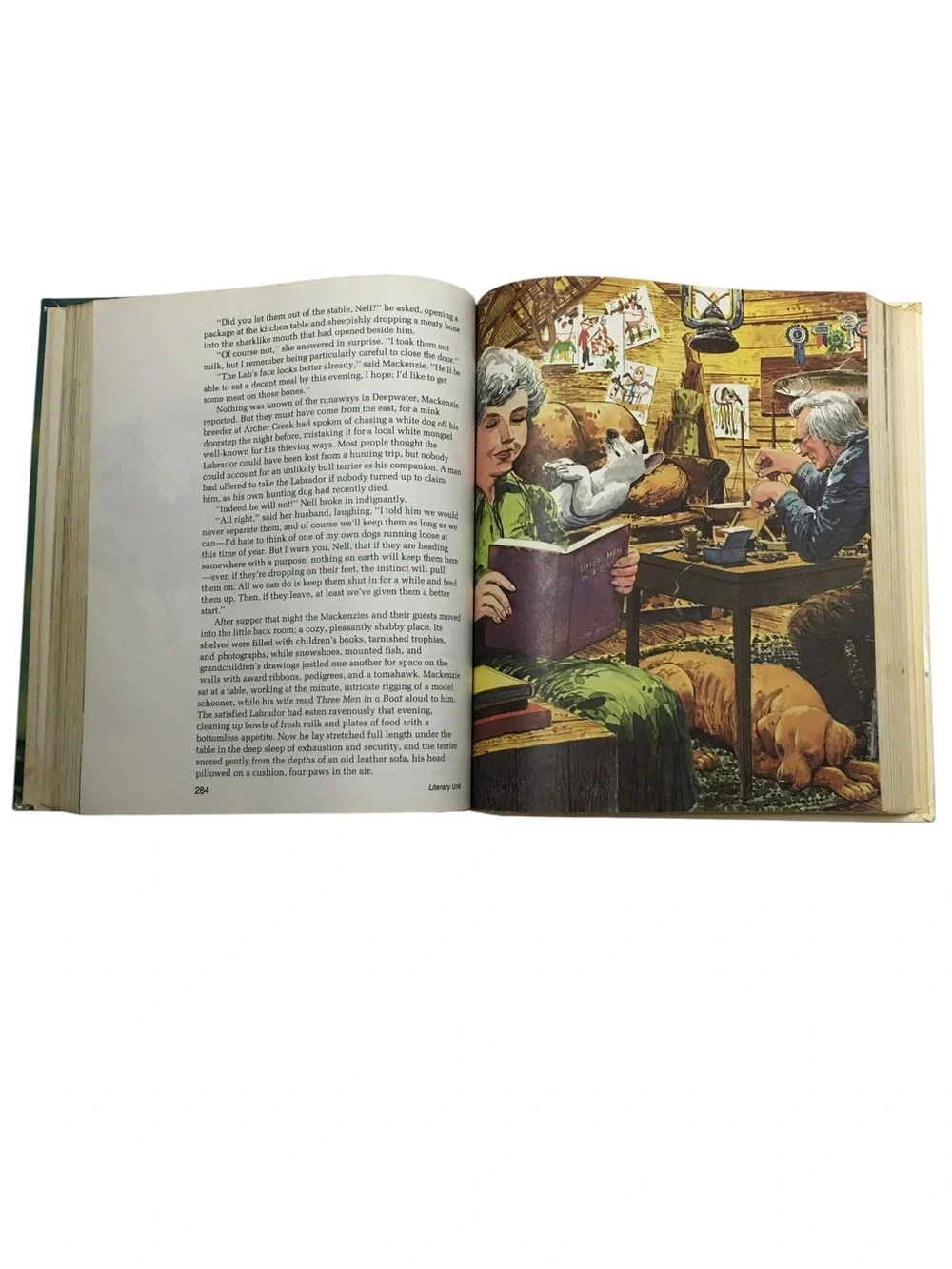Vintage 1982 Sun Spray Level 12  Scott Foresman Reading Student Textbook Book